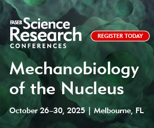 Mechanobiology of the Nucleus